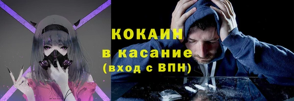 ГАЛЛЮЦИНОГЕННЫЕ ГРИБЫ Снежногорск