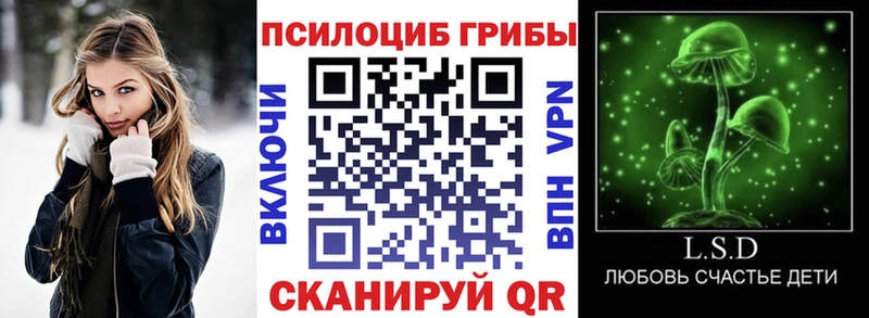 Галлюциногенные грибы прущие грибы  Гдов 